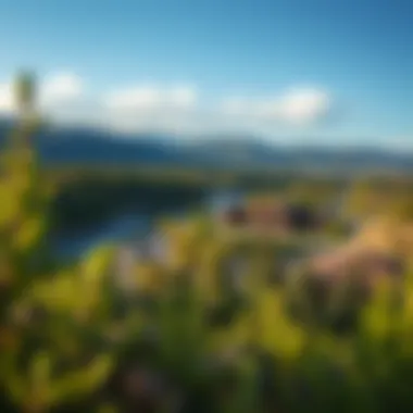 A serene view of the surrounding landscape highlighting the natural beauty near the casino