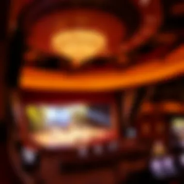 Stage view from an entertainment venue featuring performers in action