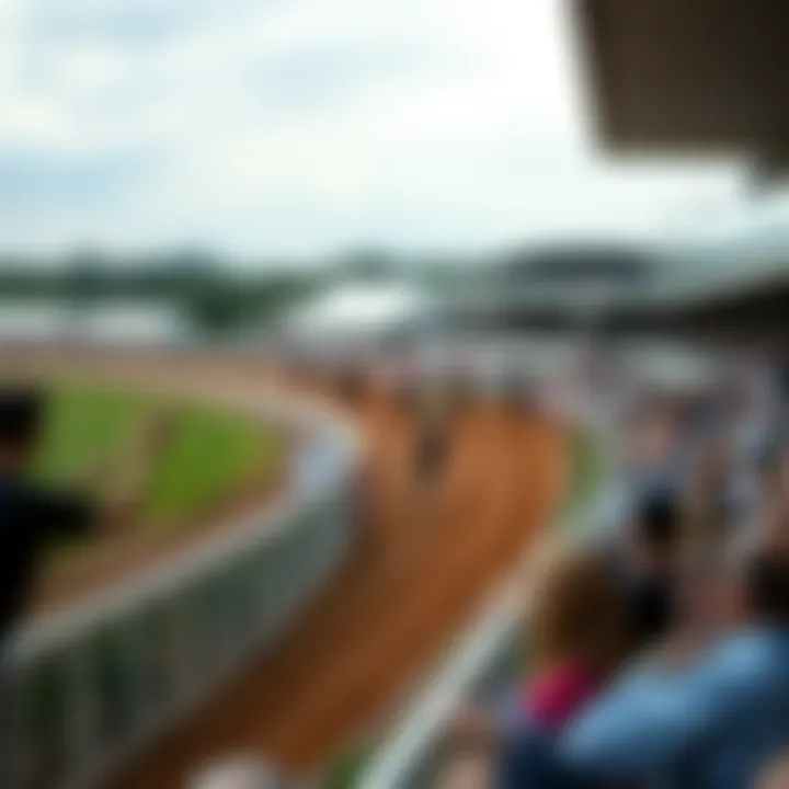A racetrack with spectators cheering during a race