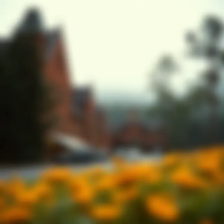 Early Years of the Resort Historical photograph of the original resort during its early years