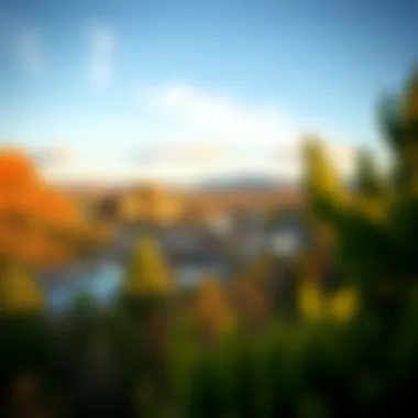 Scenic view of Turtle Creek surroundings